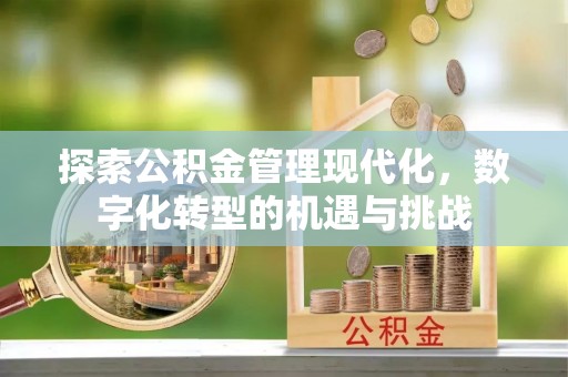 定海探索公积金管理现代化，数字化转型的机遇与挑战