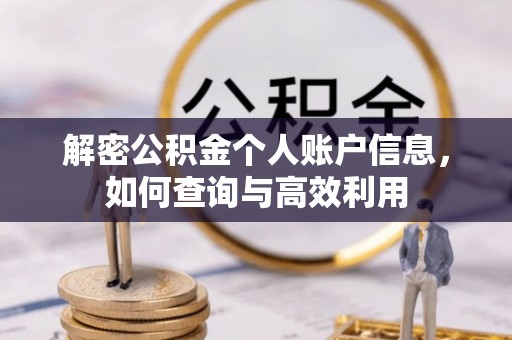 定海解密公积金个人账户信息，如何查询与高效利用
