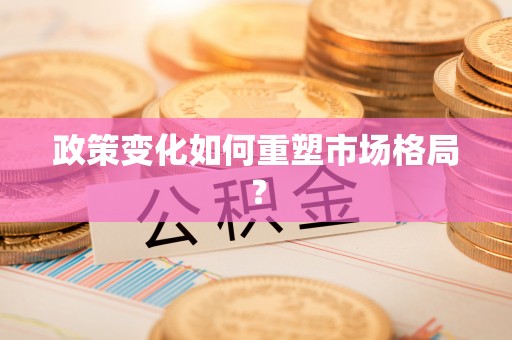 定海政策变化如何重塑市场格局？