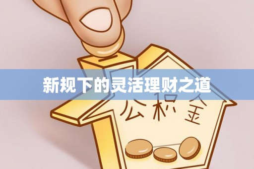 定海新规下的灵活理财之道