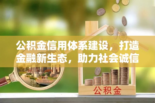 定海公积金信用体系建设，打造金融新生态，助力社会诚信发展