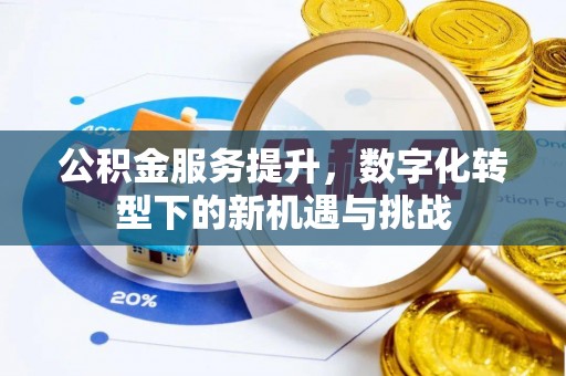 定海公积金服务提升，数字化转型下的新机遇与挑战