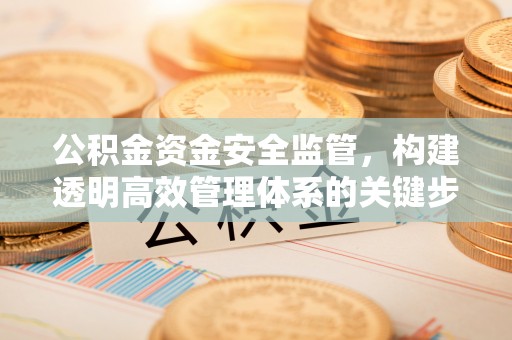 定海公积金资金安全监管，构建透明高效管理体系的关键步骤