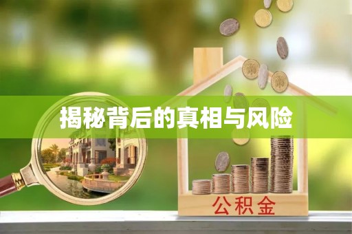 定海揭秘背后的真相与风险
