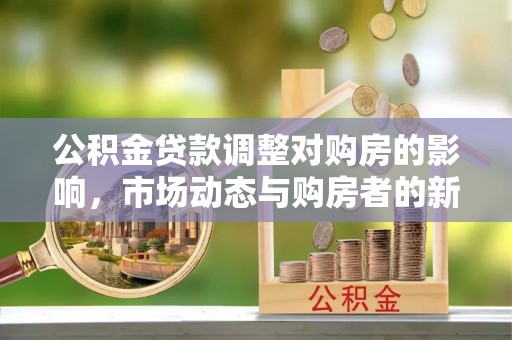 定海公积金贷款调整对购房的影响，市场动态与购房者的新选择