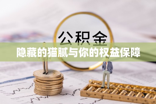 定海隐藏的猫腻与你的权益保障