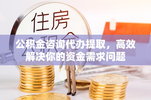 定海公积金咨询代办提取，高效解决你的资金需求问题