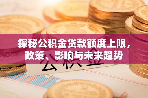 定海探秘公积金贷款额度上限，政策、影响与未来趋势