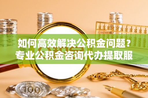 定海如何高效解决公积金问题？专业公积金咨询代办提取服务来帮你