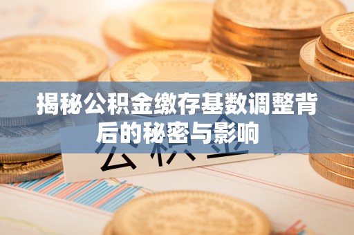 定海揭秘公积金缴存基数调整背后的秘密与影响