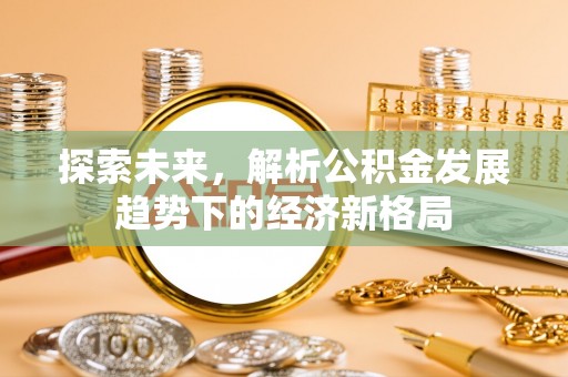 定海探索未来，解析公积金发展趋势下的经济新格局