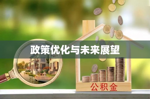定海政策优化与未来展望