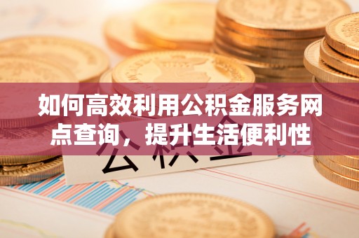 定海如何高效利用公积金服务网点查询，提升生活便利性