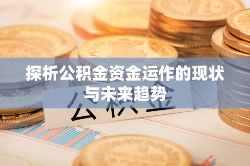 定海探析公积金资金运作的现状与未来趋势
