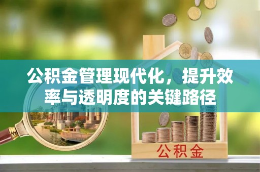 定海公积金管理现代化，提升效率与透明度的关键路径