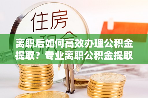 定海离职后如何高效办理公积金提取？专业离职公积金提取代办服务指南