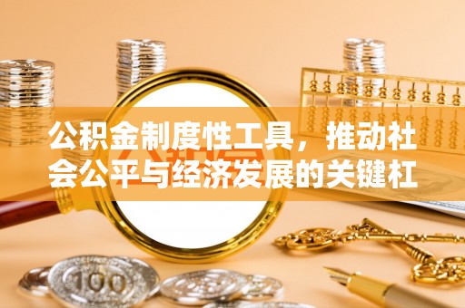 定海公积金制度性工具，推动社会公平与经济发展的关键杠杆