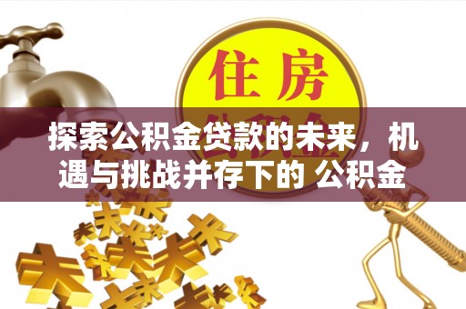定海探索公积金贷款的未来，机遇与挑战并存下的 公积金贷款风险防控