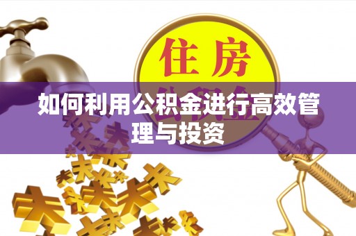 定海如何利用公积金进行高效管理与投资